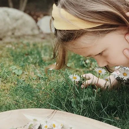 Gänseblümchen - bei Schwangerschaftsstreifen und Akne? Anleitung für ein heilendes Öl - Babyduft®
