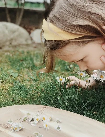 Gänseblümchen - bei Schwangerschaftsstreifen und Akne? Anleitung für ein heilendes Öl - Babyduft®