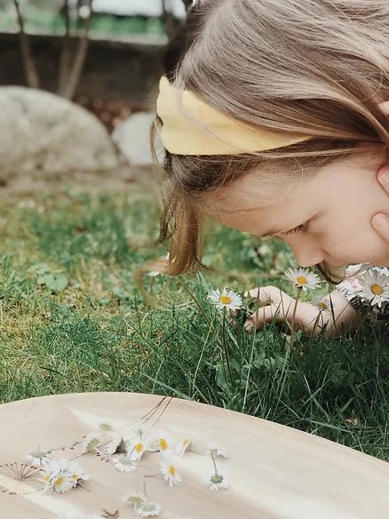 Gänseblümchen - bei Schwangerschaftsstreifen und Akne? Anleitung für ein heilendes Öl - Babyduft®